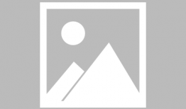 鲢鳙饵料,营养与生态兼顾的养殖之道